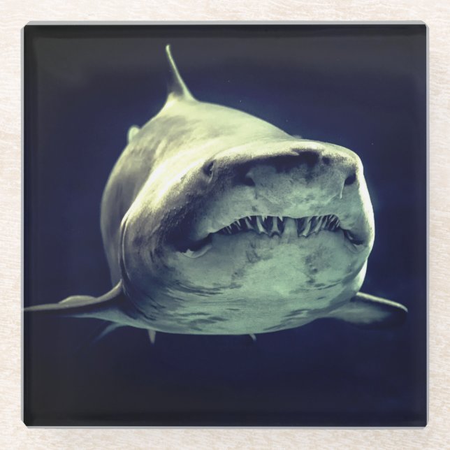 Shark Glass Coaster (Front)