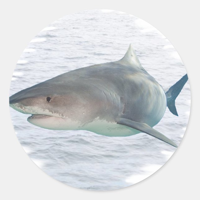 Shark in water classic round sticker (Front)