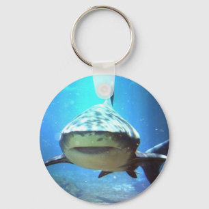 Shark Keychain