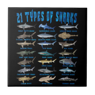 Shark Lovers 21 Types Of Sharks Ocean Animal Tile