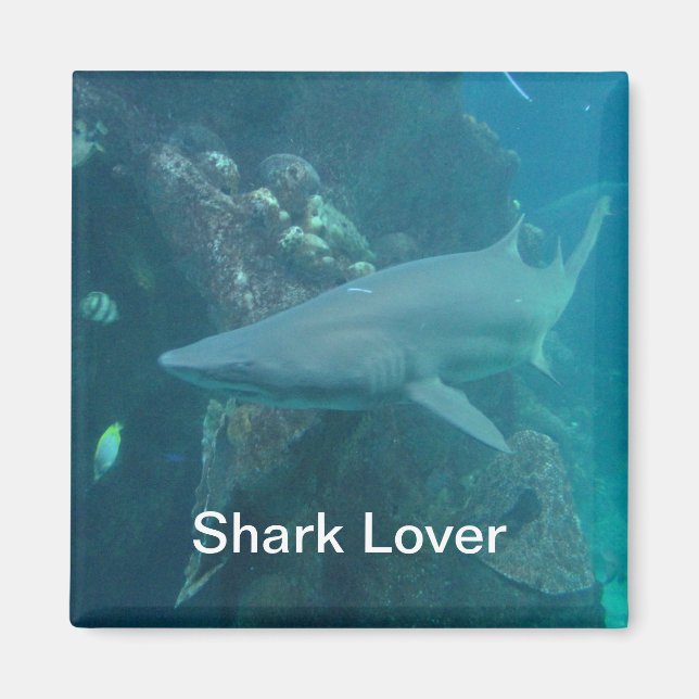 Shark Magnet (Front)