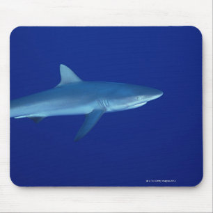 Shark Mouse Pad