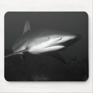 Shark Mouse Pad
