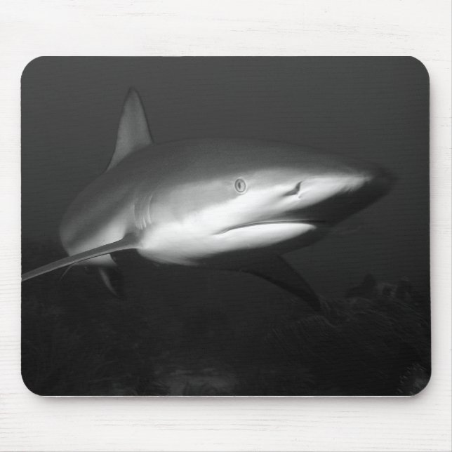 Shark Mouse Pad (Front)
