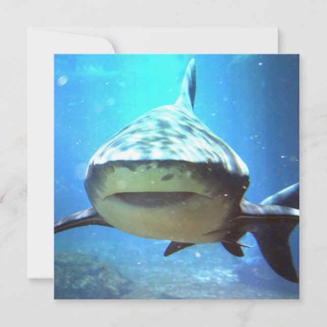 Shark Photo Invitation (Front)