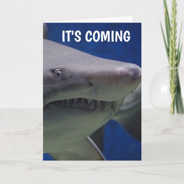 SHARK PHOTOGRAPHY FUNNY BIRTHDAY CARD (Front)