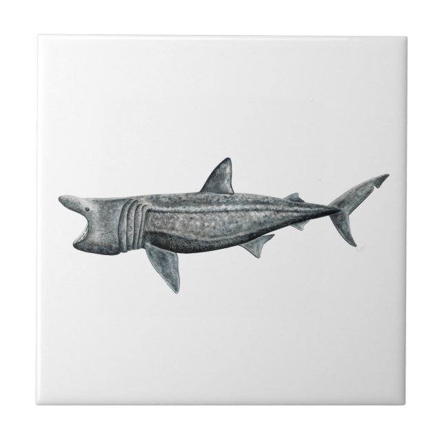Shark pilgrim tile (Front)