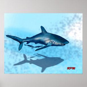 Shark Poster