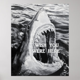 Shark Poster