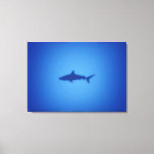 Shark silhouette canvas print