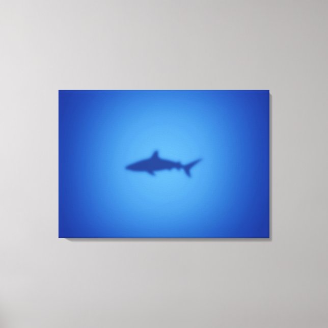 Shark silhouette canvas print (Front)