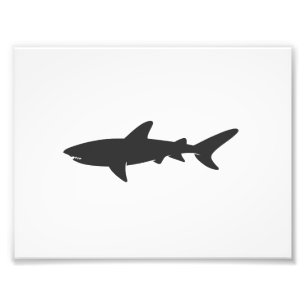 Shark silhouette - Choose background colour Photo Print