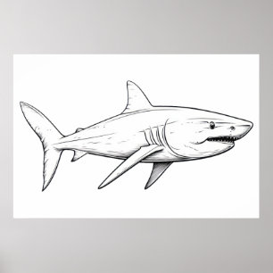 Shark sketch poster