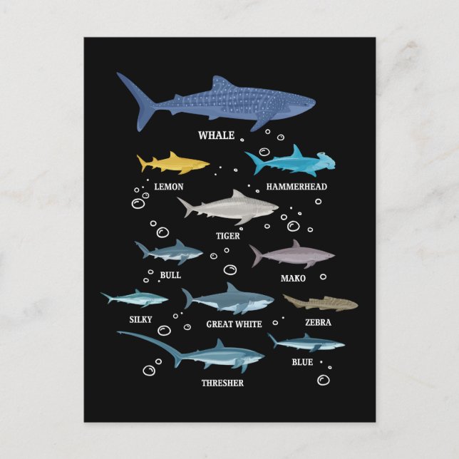 Shark Species Shark Faces Marine Biology Holiday Postcard (Front)