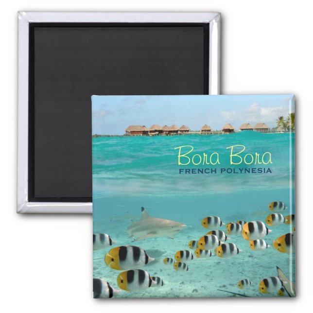 Shark square magnet with Bora Bora text (Front)