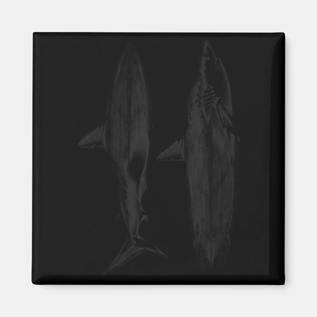 Shark surfboard fin design cool surfer ocean beach magnet (Front)