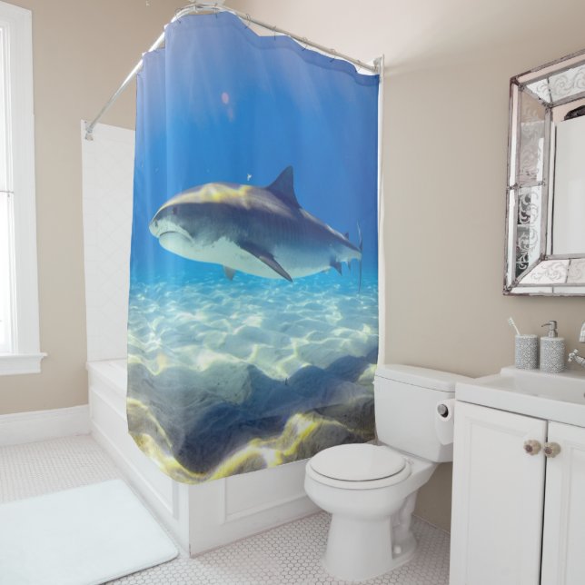 Shark Swimming Blue Ocean Water (In Situ)