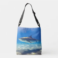Shark Swimming Blue Ocean Water