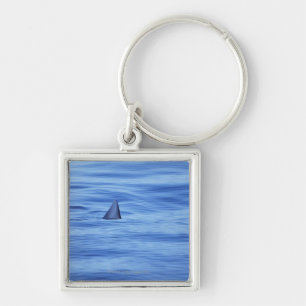 Shark swimming in ocean water keychain