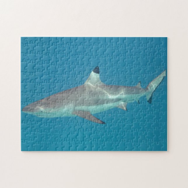 Shark swimming underwater puzzle (Horizontal)