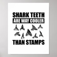 Shark Teeth