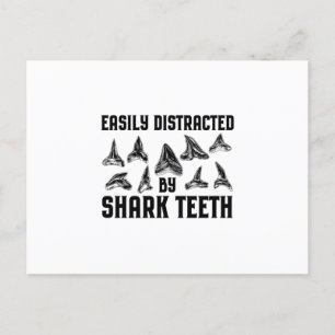 Shark TeethCollecting Shark Tooth Gift Ideas Postcard
