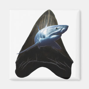 Shark Tooth 2019 Magnet