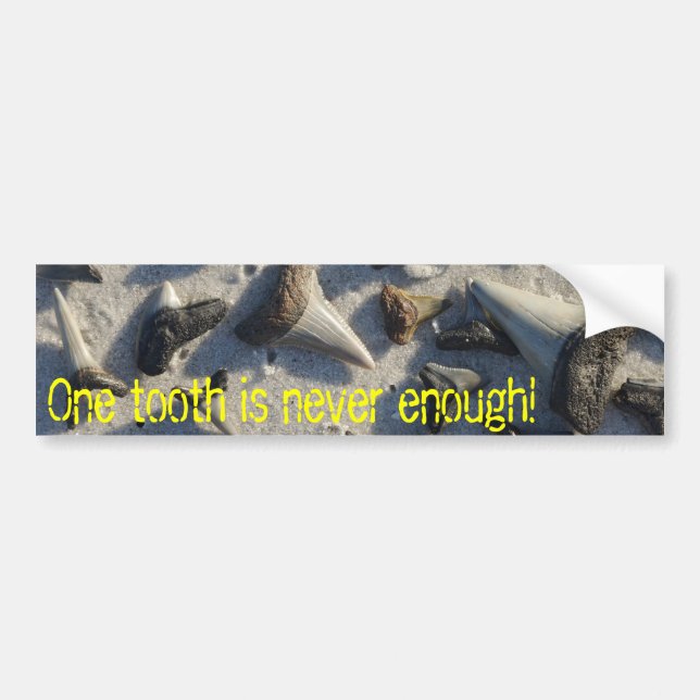 Shark Tooth Bumper Sticker (Front)
