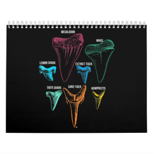 Shark Tooth Hunting - Crazy Shark Gifts Calendar