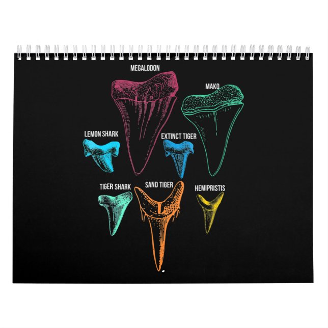 Shark Tooth Hunting - Crazy Shark Gifts Calendar (Cover)