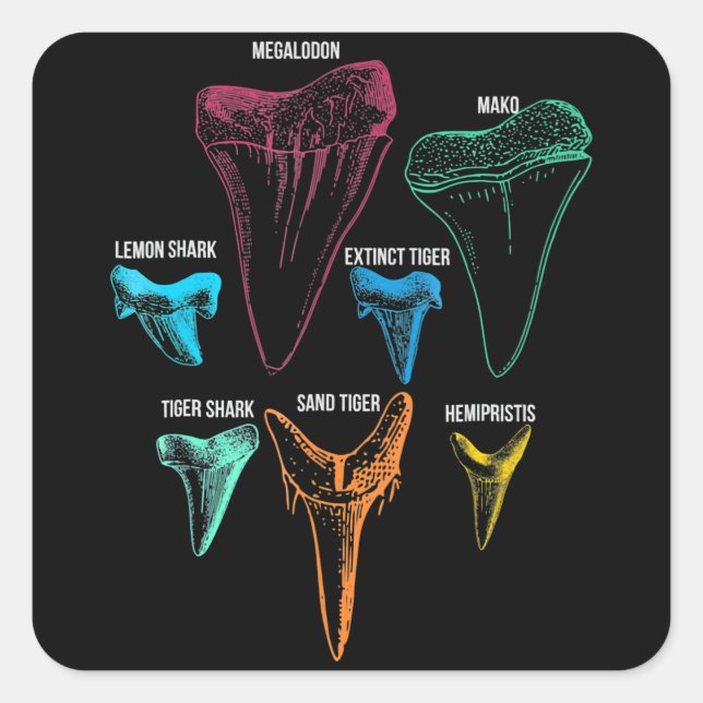 Shark Tooth Hunting - Crazy Shark Gifts Square Sticker (Front)