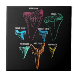 Shark Tooth Hunting - Crazy Shark Gifts Tile