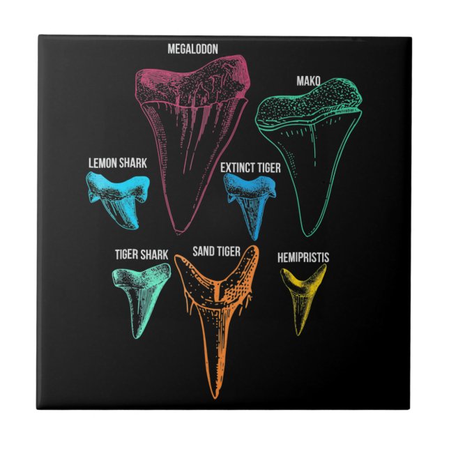 Shark Tooth Hunting Identity Key Tile (Front)