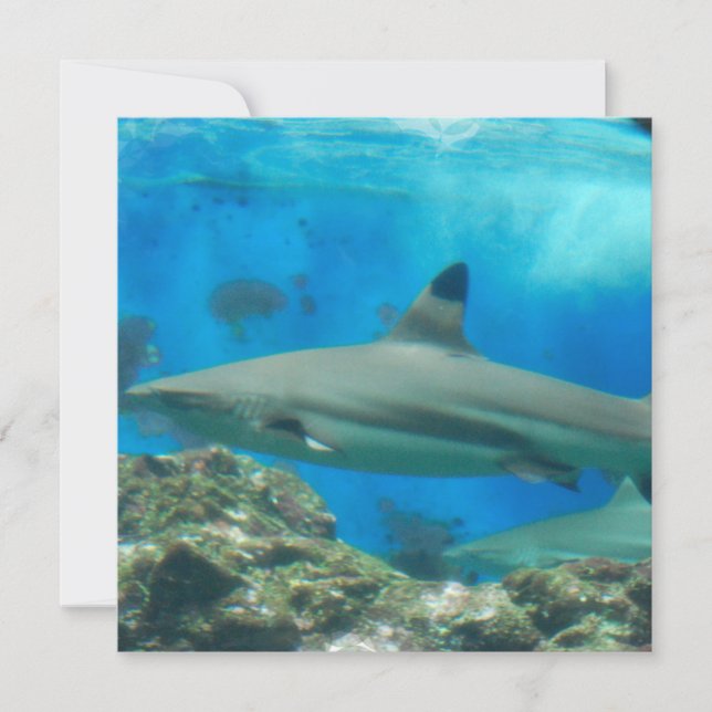Shark with Reef Invitations (Front)