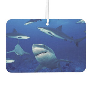 Sharks Air Freshener