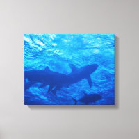 Sharks at the Blue Hole