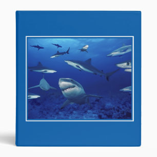 Sharks Binder