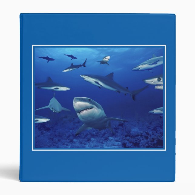 Sharks Binder (Front)