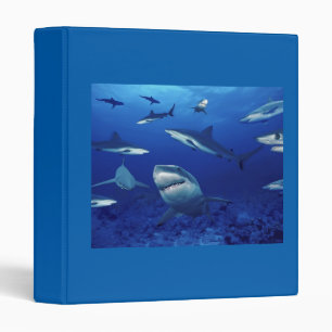 Sharks Binder