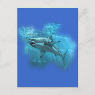 Sharks Collection by FishTs.com Postcard