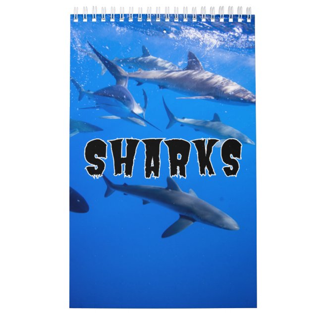 Sharks Collection Showcase Wall Calendar (Cover)