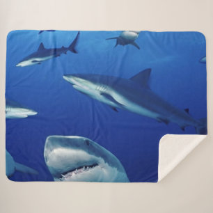 SHARKS EVERYWHERE SHERPA BLANKET
