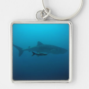 Sharks Fish Ocean Water Tropical Beach Peace Love Keychain