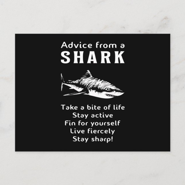 Sharks Fish Sea Shark Fin Ocean Funny Gift Idea Postcard (Front)