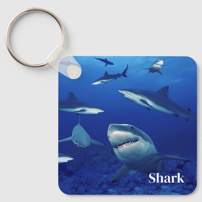 Sharks Keychain (Front)