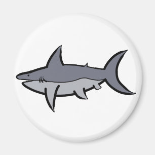 Sharks Magnet