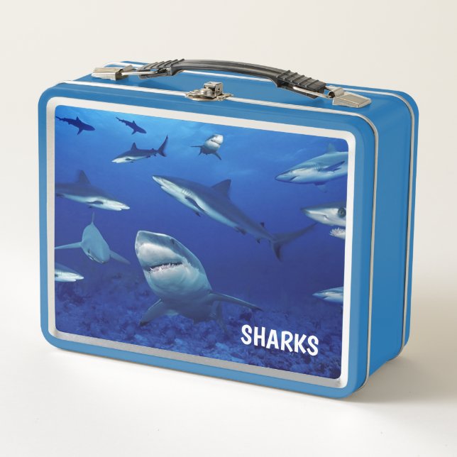 Sharks Metal Lunch Box (Front)