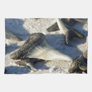 Sharks Teeth from Jax Beach Kitchen Towel