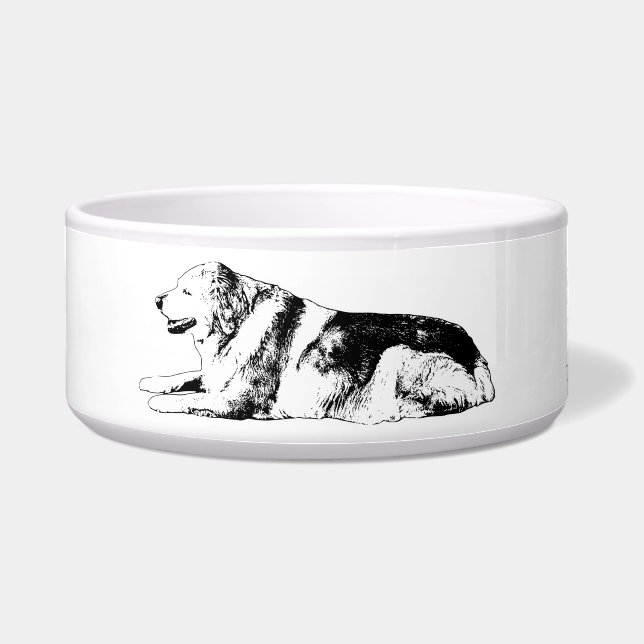 Sharp Bite, Bold Dish (Front)
