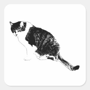 Sharp Cat Line Sticker Adds Attitude Anywhere